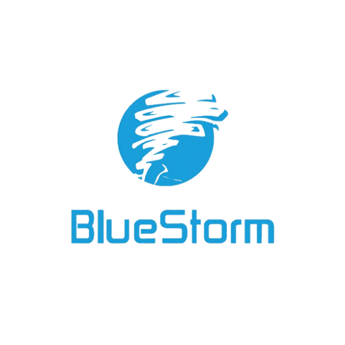 Bluestorm logo